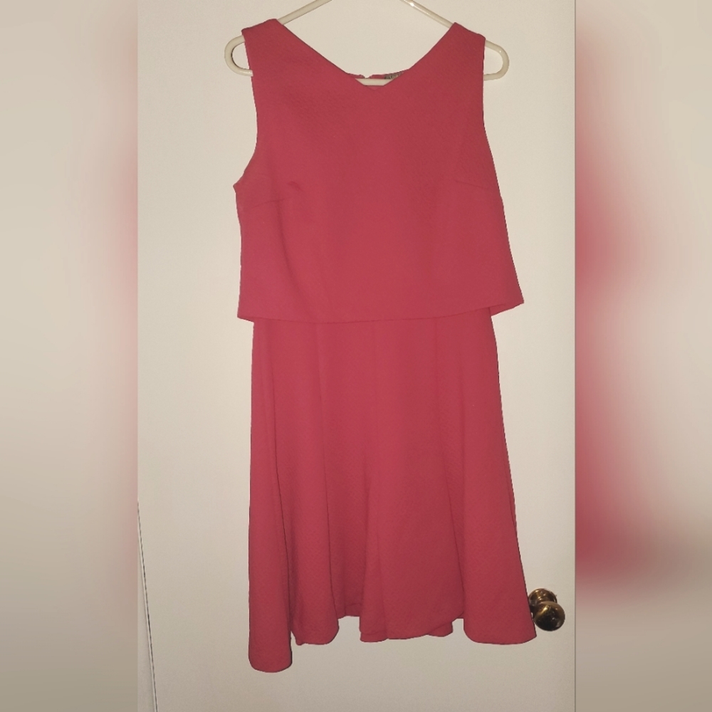 Bright Pink Taylor poplin dress